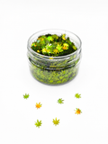 Mary Jane - Happy Leaves