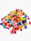 Dried Flowers