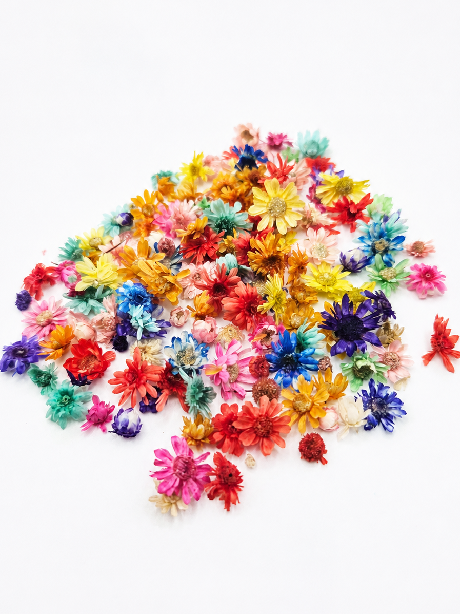 Dried Flowers